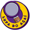 LUPA DO AÇAÍ